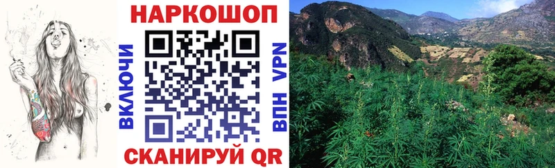 Где можно купить наркотики Волосово Alpha-PVP  ТГК  Меф  Гашиш  COCAIN  Псилоцибиновые грибы 