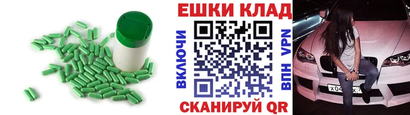продажа наркотиков  мега как зайти  Ecstasy Philipp Plein  Волосово 