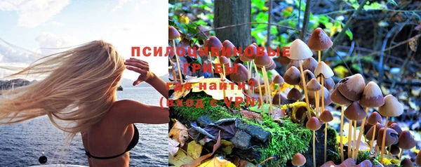 каннабис Белокуриха