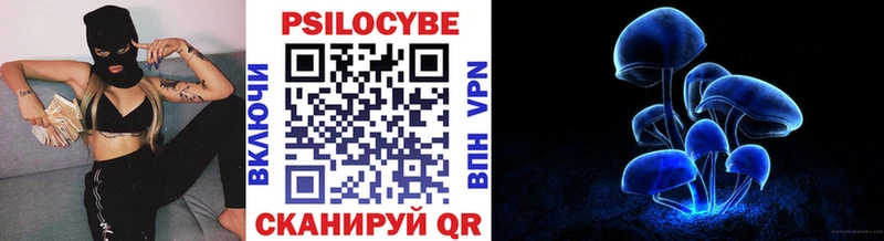 купить наркотик  Волосово  ОМГ ОМГ ссылка  Псилоцибиновые грибы Cubensis 